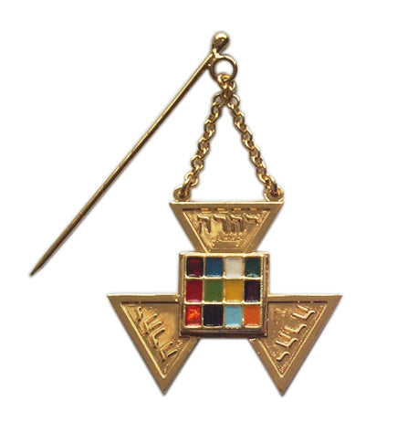 Allied Masonic Degrees Past Master Jewel